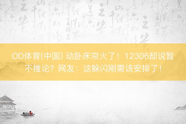 OD体育(中国) 动卧床帘火了！12306却说暂不推论？网友：这躲闪刚需该安排了！