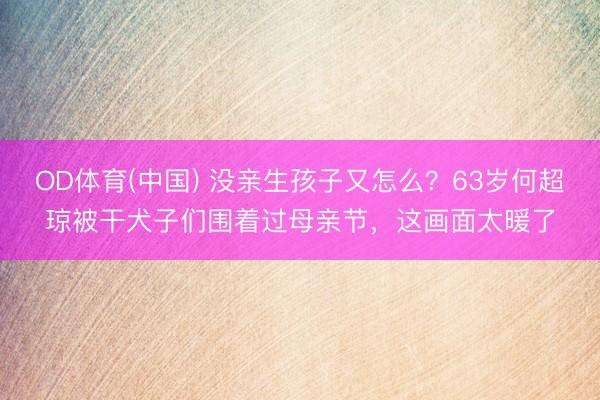 OD体育(中国) 没亲生孩子又怎么?63岁何超琼被干犬子们围着过母亲节,这画面太暖了