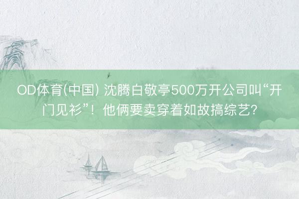 OD体育(中国) 沈腾白敬亭500万开公司叫“开门见衫”!他俩要卖穿着如故搞综艺?