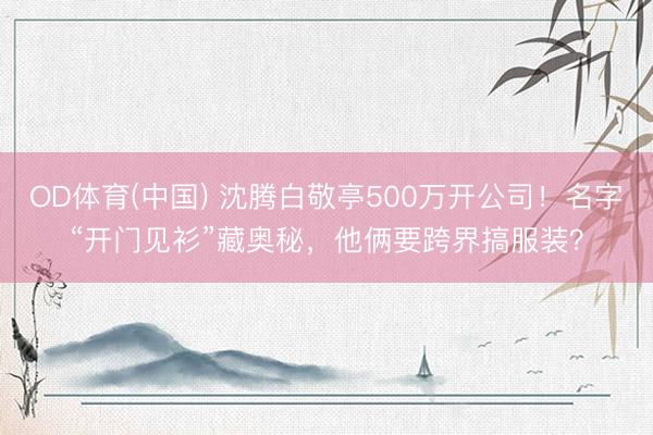 OD体育(中国) 沈腾白敬亭500万开公司！名字“开门见衫”藏奥秘，他俩要跨界搞服装？