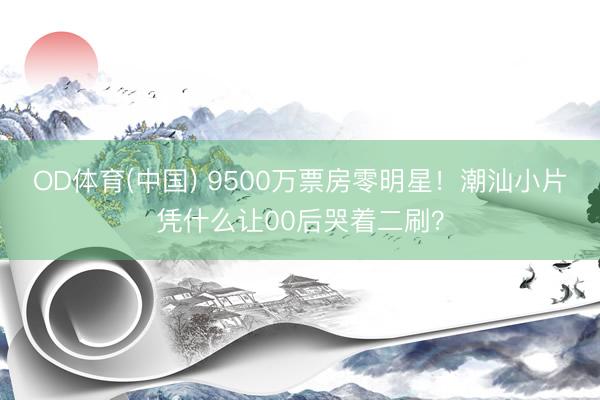 OD体育(中国) 9500万票房零明星！潮汕小片凭什么让00后哭着二刷？