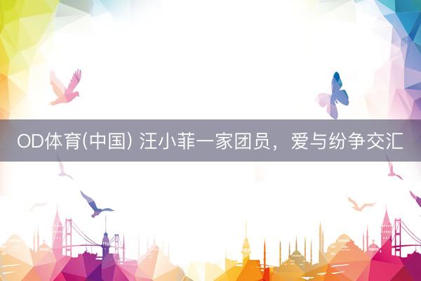 OD体育(中国) 汪小菲一家团员，爱与纷争交汇