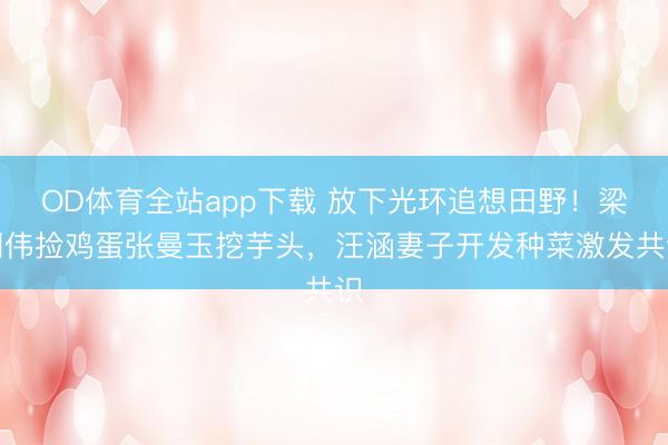 OD体育全站app下载 放下光环追想田野！梁朝伟捡鸡蛋张曼玉挖芋头，汪涵妻子开发种菜激发共识