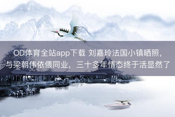 OD体育全站app下载 刘嘉玲法国小镇晒照，与梁朝伟依偎同业，三十多年情态终于活显然了