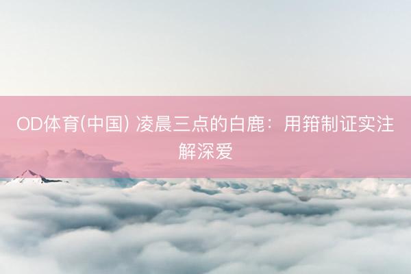 OD体育(中国) 凌晨三点的白鹿：用箝制证实注解深爱