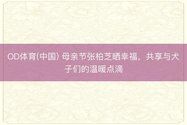 OD体育(中国) 母亲节张柏芝晒幸福，共享与犬子们的温暖点滴