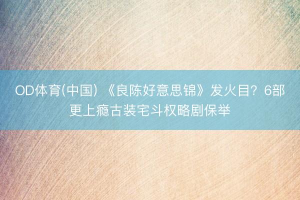 OD体育(中国) 《良陈好意思锦》发火目?6部更上瘾古装宅斗权略剧保举