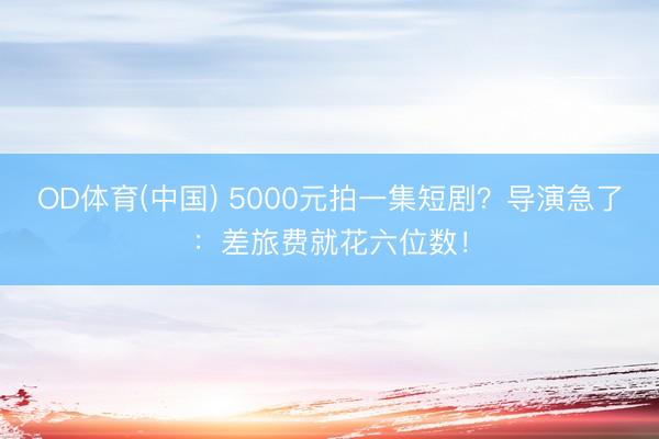 OD体育(中国) 5000元拍一集短剧？导演急了：差旅费就花六位数！