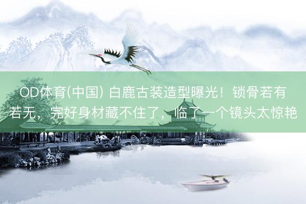 OD体育(中国) 白鹿古装造型曝光！锁骨若有若无，完好身材藏不住了，临了一个镜头太惊艳