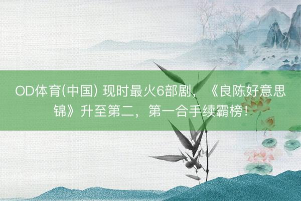 OD体育(中国) 现时最火6部剧，《良陈好意思锦》升至第二，第一合手续霸榜！