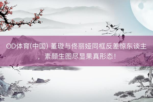 OD体育(中国) 董璇与佟丽娅同框反差惊东谈主,素颜生图尽显果真形态!