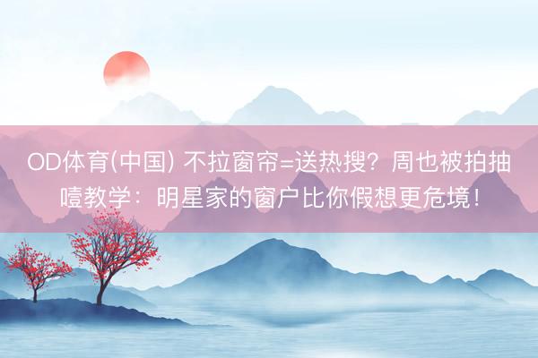 OD体育(中国) 不拉窗帘=送热搜？周也被拍抽噎教学：明星家的窗户比你假想更危境！
