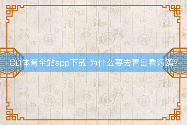 OD体育全站app下载 为什么要去青岛看海鸥？