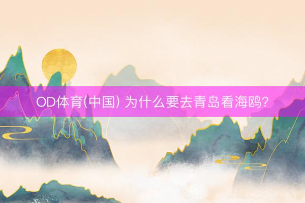 OD体育(中国) 为什么要去青岛看海鸥？