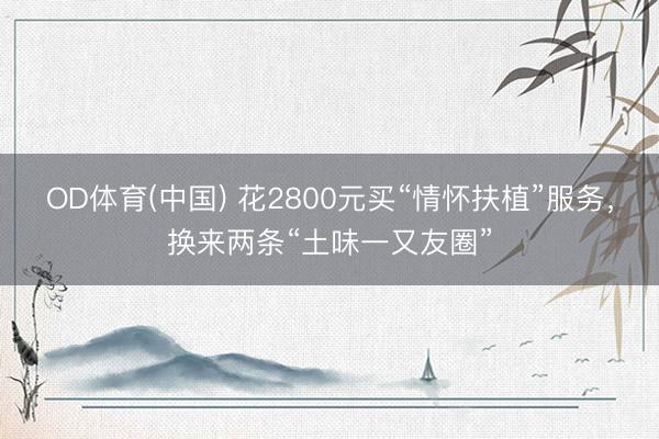 OD体育(中国) 花2800元买“情怀扶植”服务，换来两条“土味一又友圈”