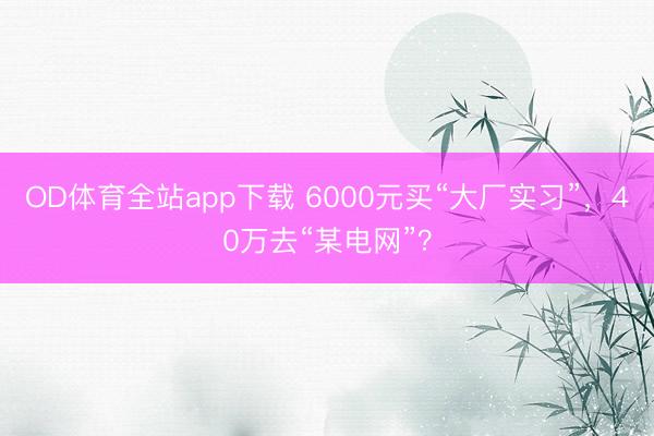 OD体育全站app下载 6000元买“大厂实习”，40万去“某电网”？