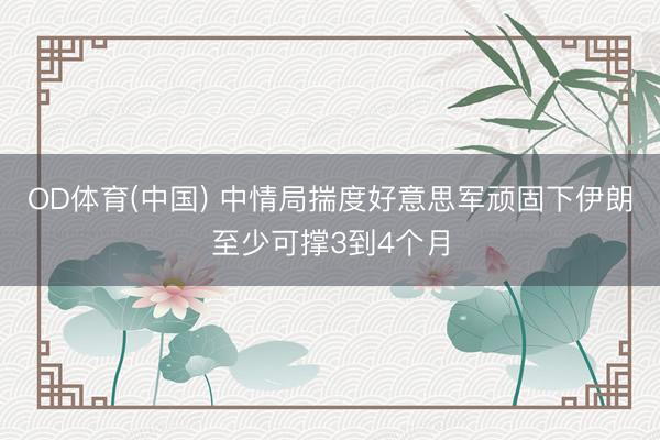 OD体育(中国) 中情局揣度好意思军顽固下伊朗至少可撑3到4个月