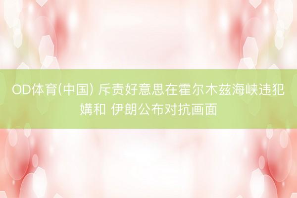 OD体育(中国) 斥责好意思在霍尔木兹海峡违犯媾和 伊朗公布对抗画面