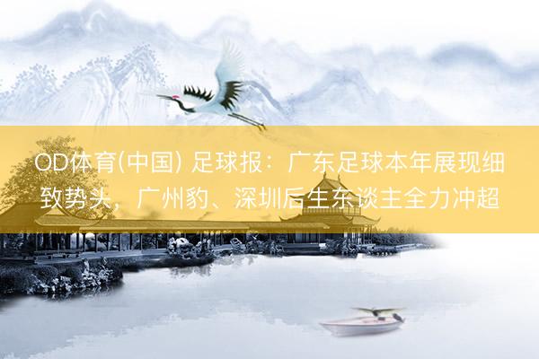 OD体育(中国) 足球报：广东足球本年展现细致势头，广州豹、深圳后生东谈主全力冲超
