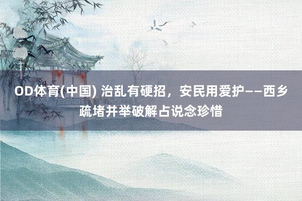 OD体育(中国) 治乱有硬招,安民用爱护——西乡疏堵并举破解占说念珍惜
