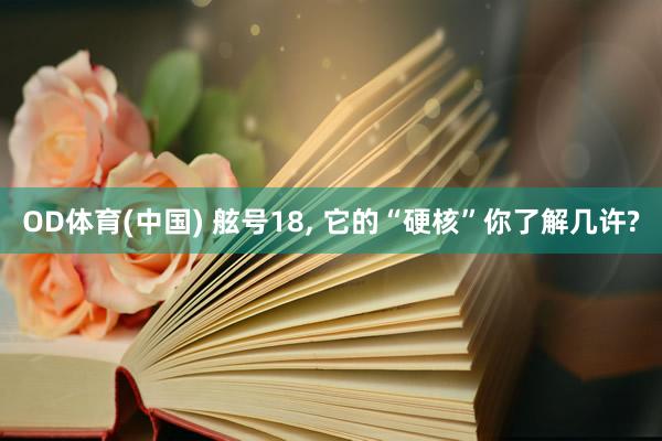 OD体育(中国) 舷号18，<a href=
