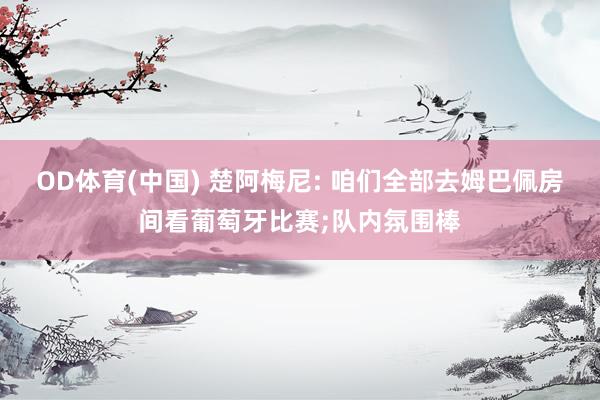 OD体育(中国) 楚阿梅尼: 咱们全部去姆巴佩房间看葡萄牙比赛;队内氛围棒