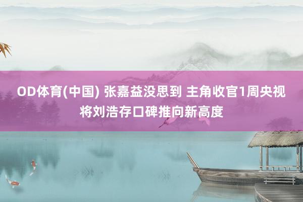 OD体育(中国) 张嘉益没思到 主角收官1周央视将刘浩存口碑推向新高度